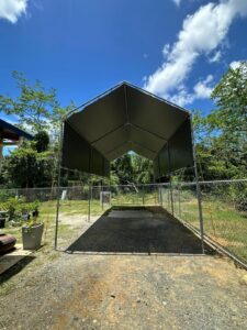 Pepino Canopy's (3)