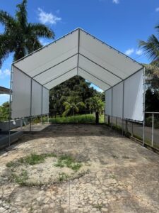 Pepino Canopy's (4)