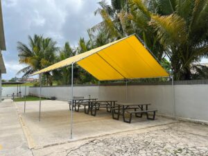 Carpas (1)