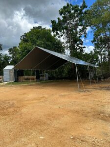 Carpas (10)