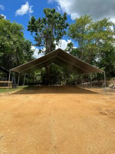 Carpas (12)