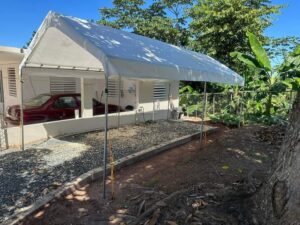 Carpas (15)