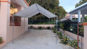 Carpas (16)
