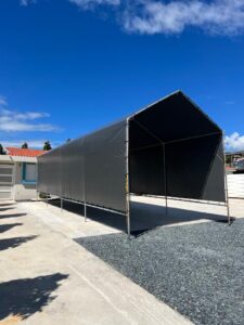 Carpas (2)