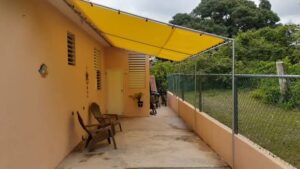 Carpas (20)