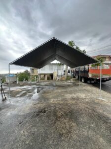Carpas (6)