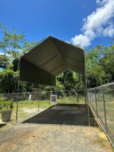 Pepino Canopy_s