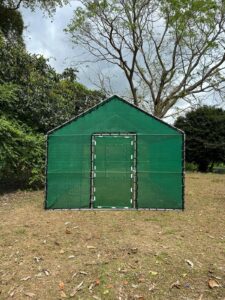 Pepino Canopy_s(3)