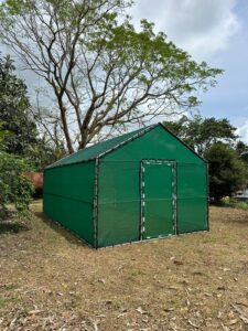 Pepino Canopy_s(4)